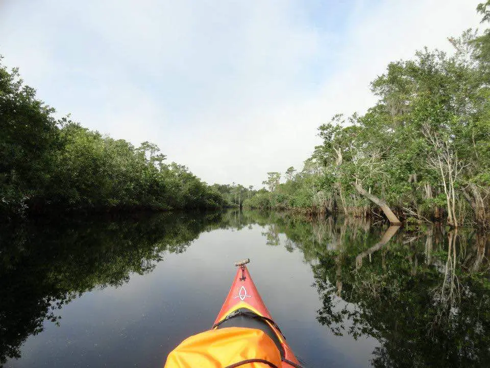 tip of kayak floating down a river