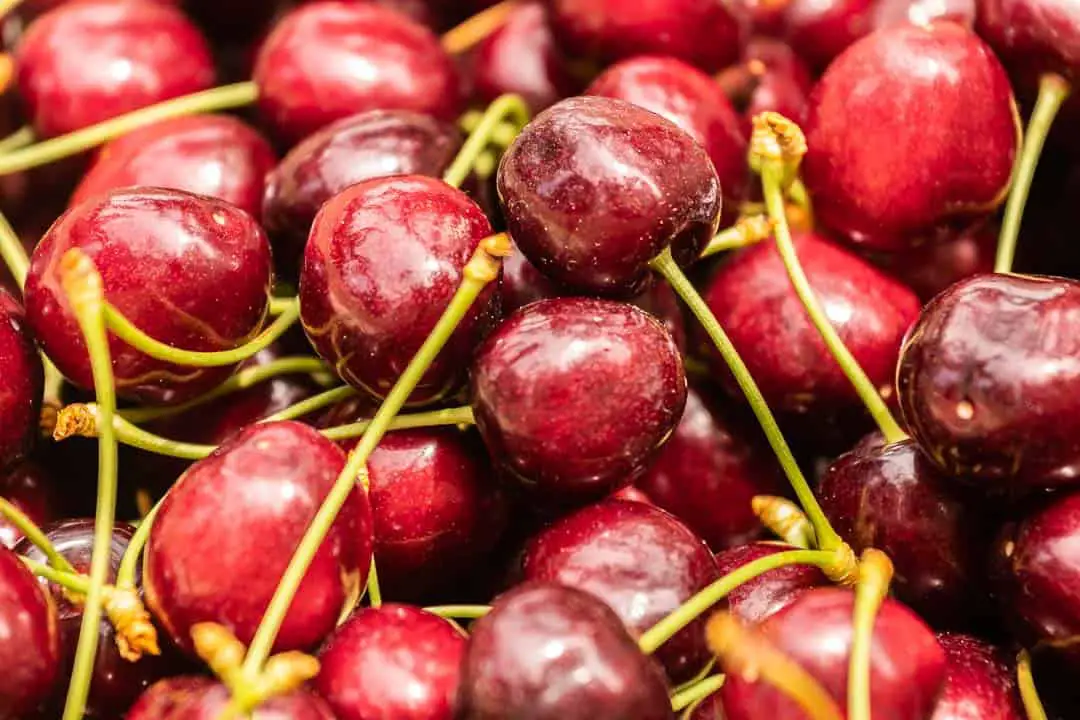 A full bin of cherries is a beautiful sight to see.