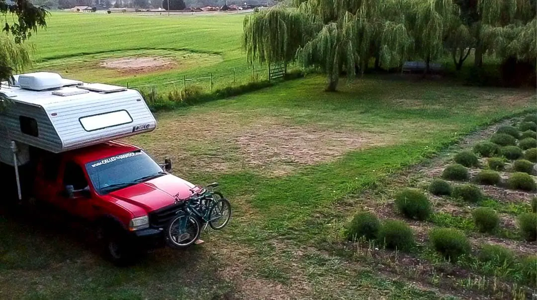 Camping at a Lavender Farm