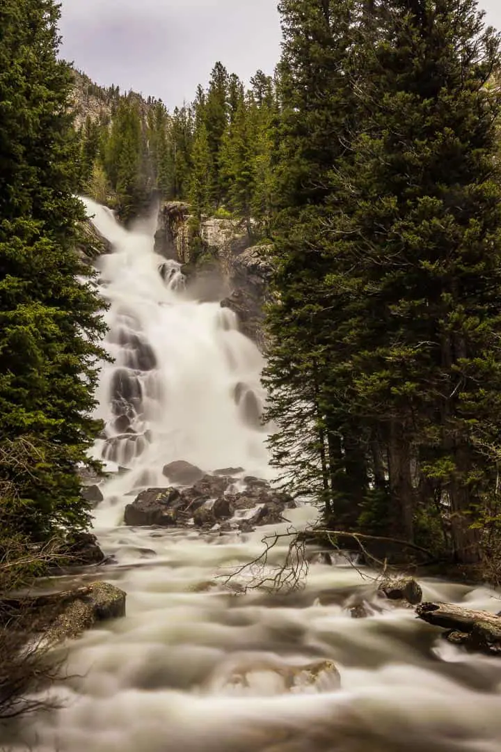 Waterfall hidden behind trees