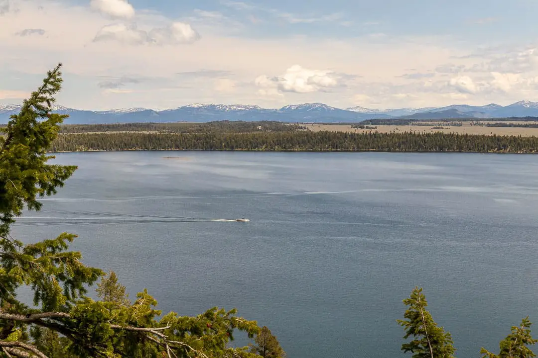 View of Jenny Lake and tour boat from above