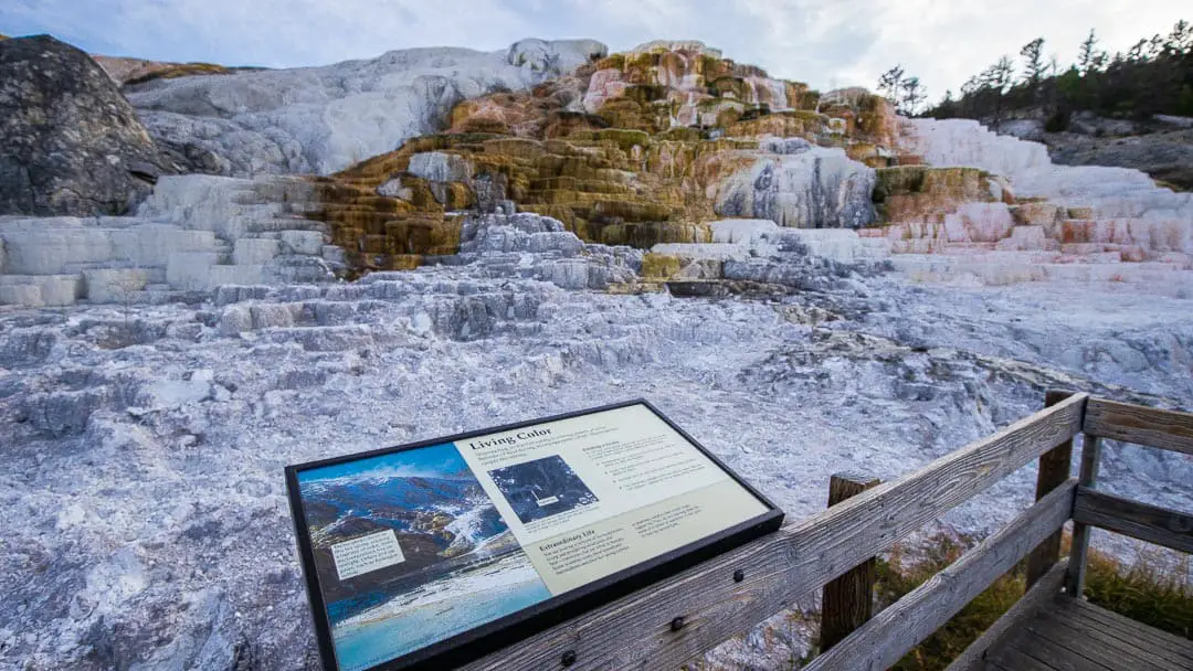 Terraces of Mammoth Hot Springs