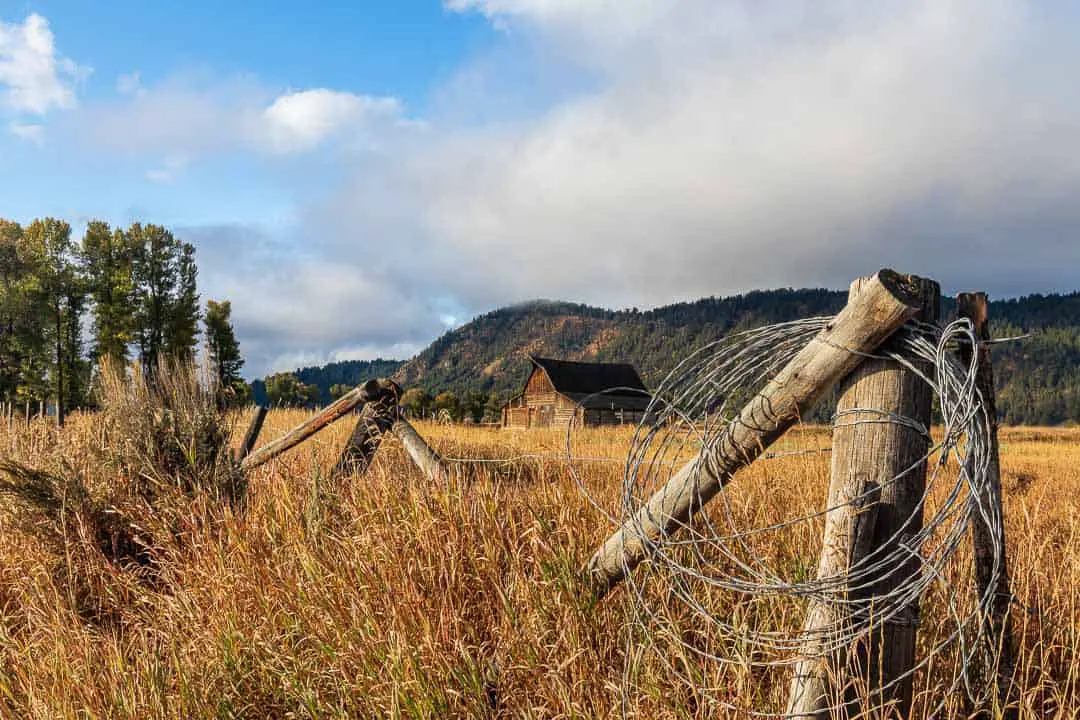 Fence post with barbed wire and an old barn in the background